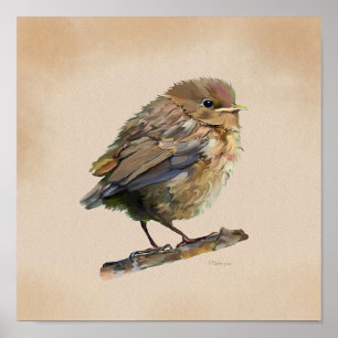 Amselnestling` Poster