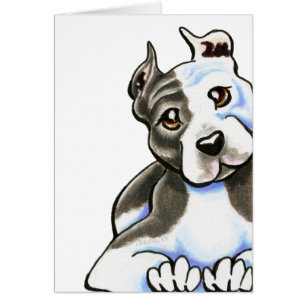 Amstaff Mageres auf mir