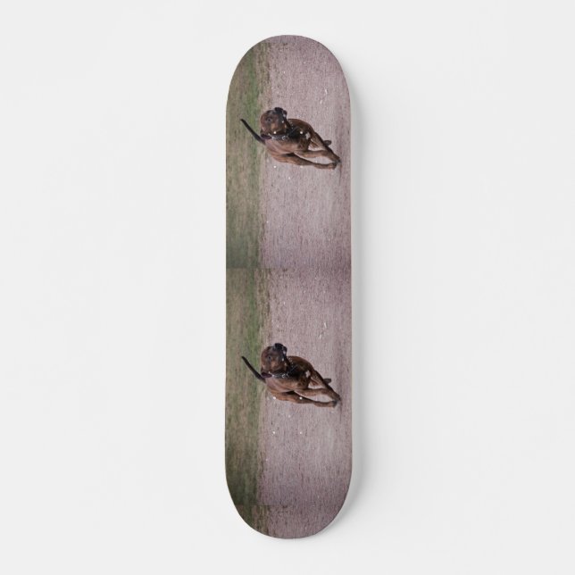 Amstaff Skateboard (Vorne)