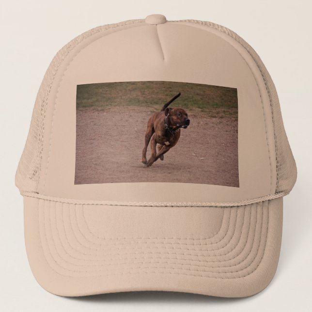 Amstaff Truckerkappe (Vorderseite)