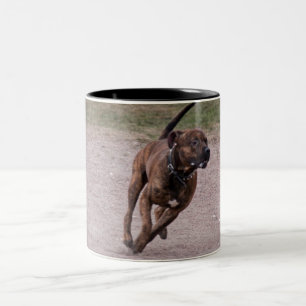 Amstaff Zweifarbige Tasse