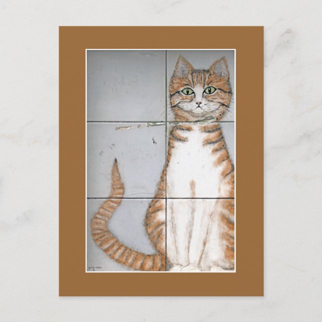 Amsterdam Cat Postcard Postkarte (Vorderseite)