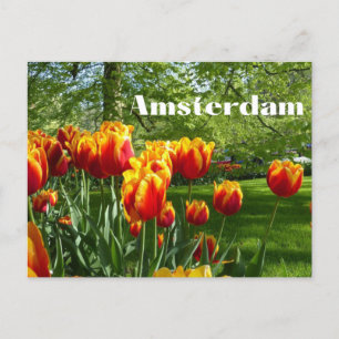 Amsterdam Orange Tulips - Frühjahr Botanischer Gar Postkarte