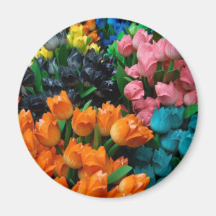 Amsterdam Tulpen Magnet