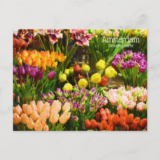 Amsterdamer Blume Postkarte