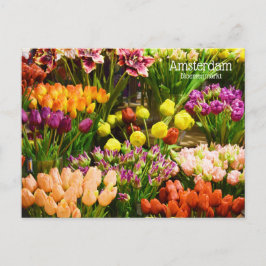 Amsterdamer Blume Postkarte
