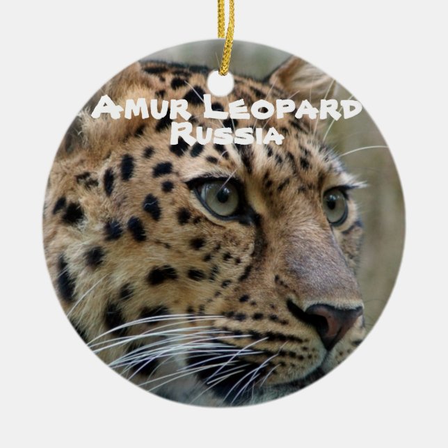 Amur Leopard, gefährdete Arten Keramik Ornament (Vorne)