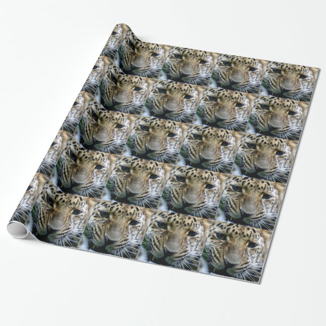 Amur-Leopard Geschenkpapier (Ungerollt)