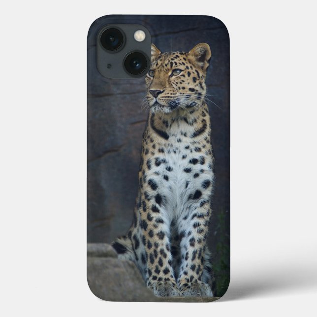 Amur Leopard iPhone 6 Case (Rückseite)