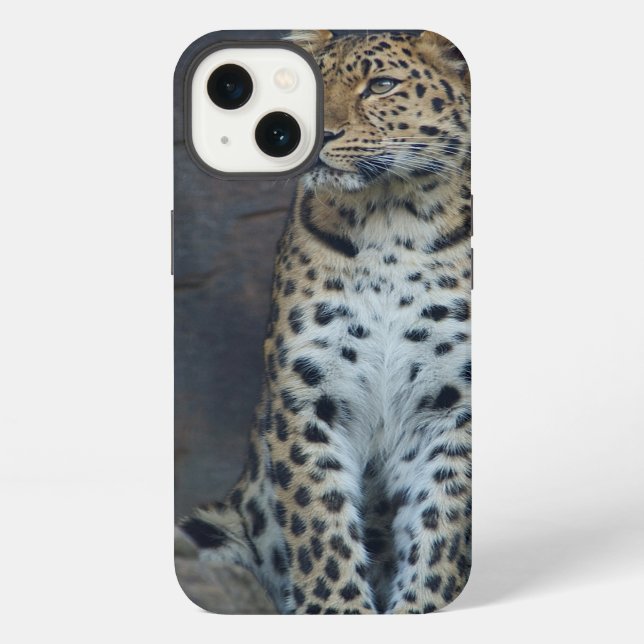 Amur Leopard iPhone 6 Case Hülle (Rückseite)