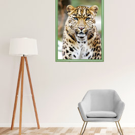 Amur Leopard Poster