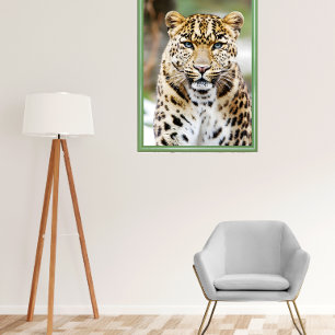 Amur Leopard Poster