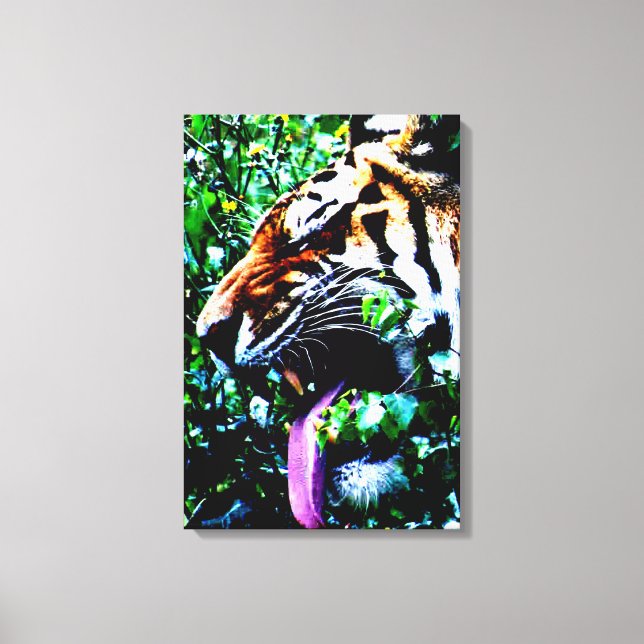 Amur Tiger 16x24 (40x60cm) Waccnm Leinwanddruck (Vorderseite)