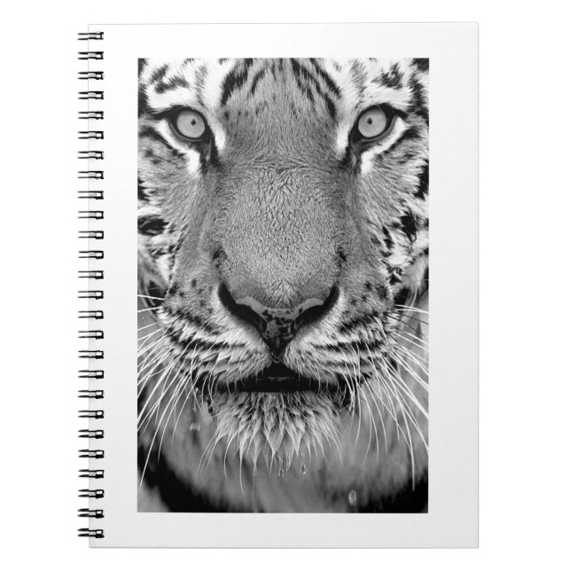Amur Tiger#4-Notebook Notizblock (Vorderseite)