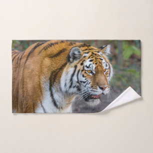 Amur tiger badhandtuch set