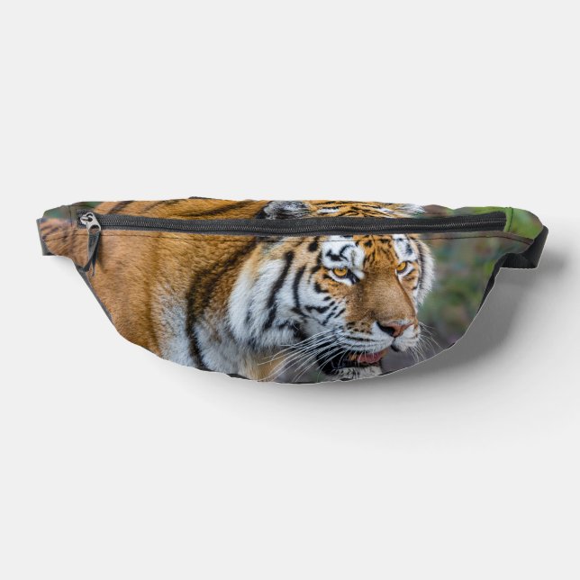 Amur tiger bauchtasche (Ablage )