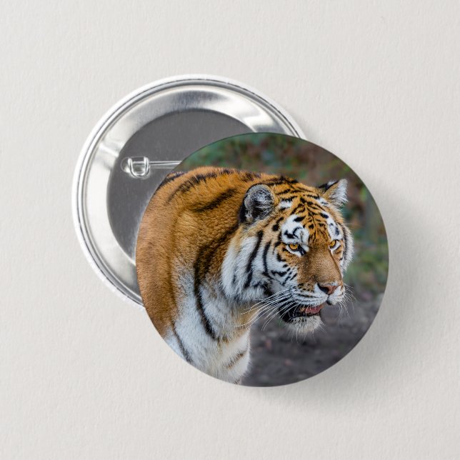 Amur tiger button (Vorne & Hinten)