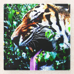 Amur Tiger Küstenercna Glasuntersetzer