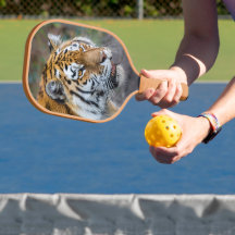 Amur tiger