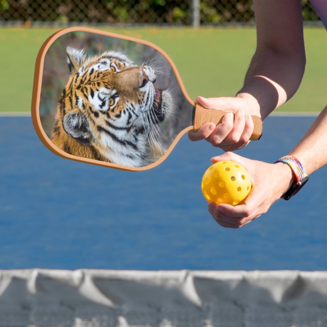 Amur tiger pickleball schläger (InSitu)