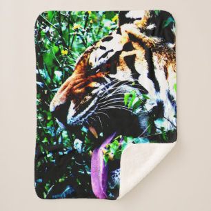 Amur Tiger sbcna Sherpadecke