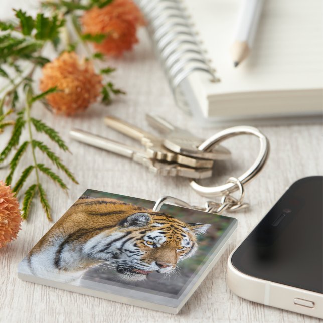 Amur tiger schlüsselanhänger (Vorderseite rechts)