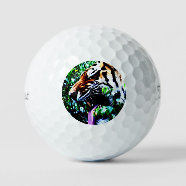 Amur Tiger tpv1 gbcnm Golfball (Vorderseite)