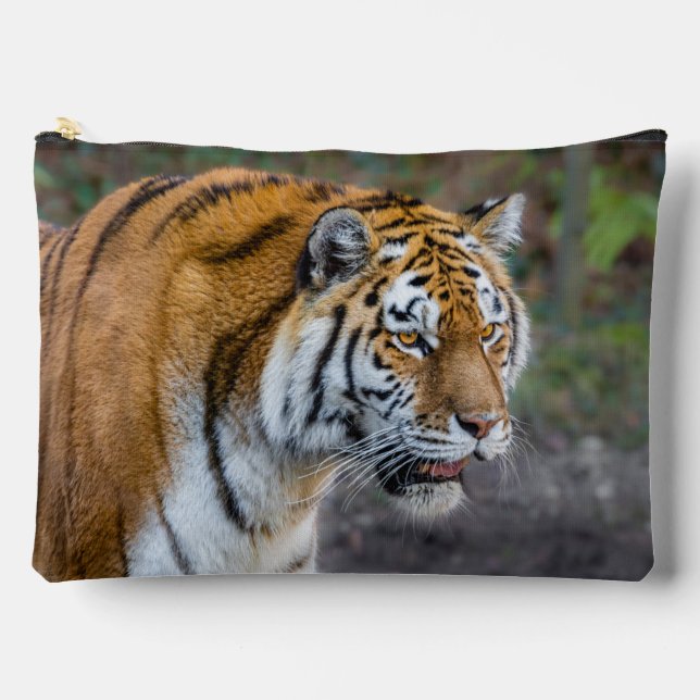 Amur tiger zubehörtasche (Vorderseite)
