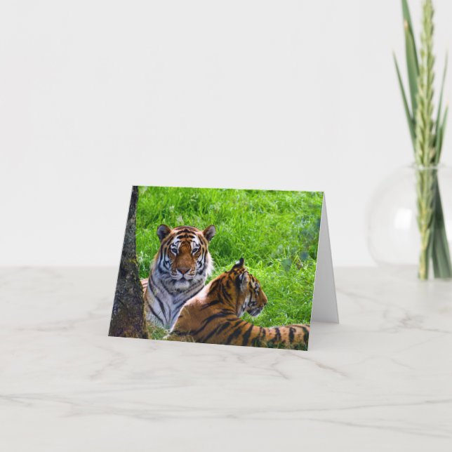 Amur Tigers Grußkarte Karte (Vorderseite)