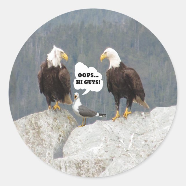 Amusant Aigles et Sticker rond de Mouette (Devant)