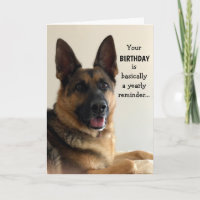 Amusant berger allemand carte d'anniversaire