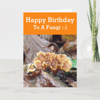 Amusante Carte Anniversaire À Un Gars Amusant Fung