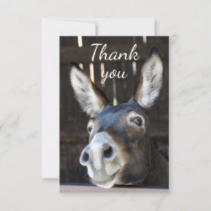 Amusants âne, Burro, Humour animal de ferme Merci