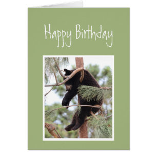 Amusants Anniversaire Détendez-vous votre propre v