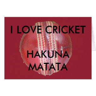 Amusants Cricket Ball Design