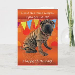 Amusants Shar Pei Carte Anniversaire Avec Humour A