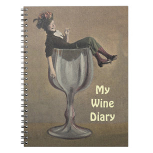 Amusement d'antiquité de livre de recette de vin