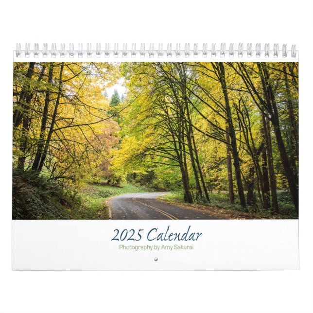 Amy's Dritter Kalender 2025 (Titelbild)