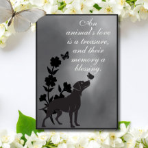 An Animal’s Love Is a Treasure – Dog Sympathy