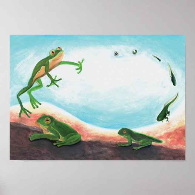  An astonishing life cycle of a frog   Poster (Vorne)