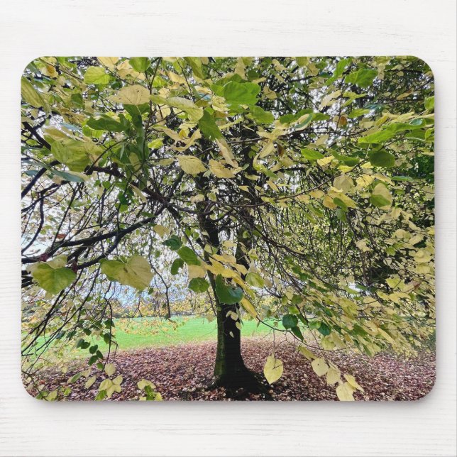 An autumn walk mousepad (Vorne)