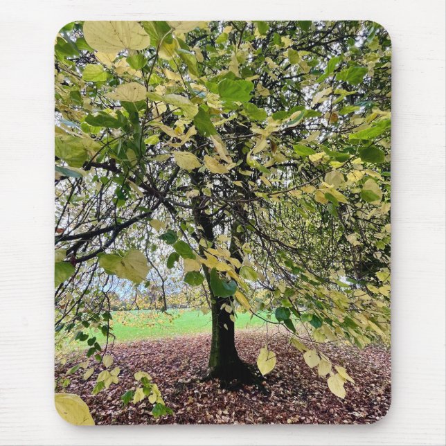 An autumn walk mousepad (Vorne)