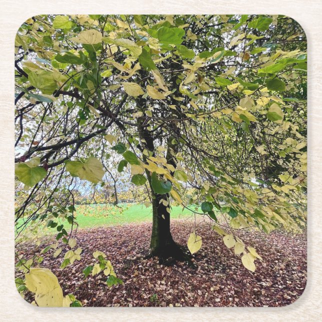 An autumn walk rechteckiger pappuntersetzer (Vorderseite)