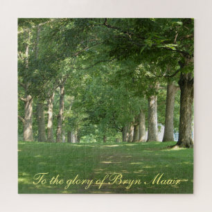 An den Ruhm von Bryn Mawr Senior Row Bäume