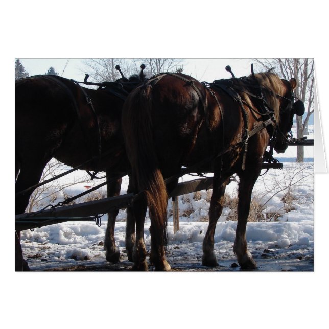 An der Hitching Post (Vorderseite (Horizontal))