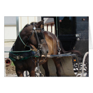 An der Hitching Post