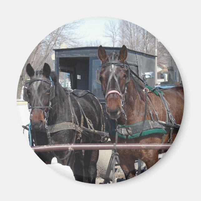 An der Hitching Post Magnet (Vorne)