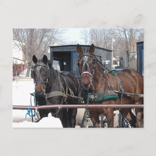 An der Hitching Post Postkarte (Vorderseite)