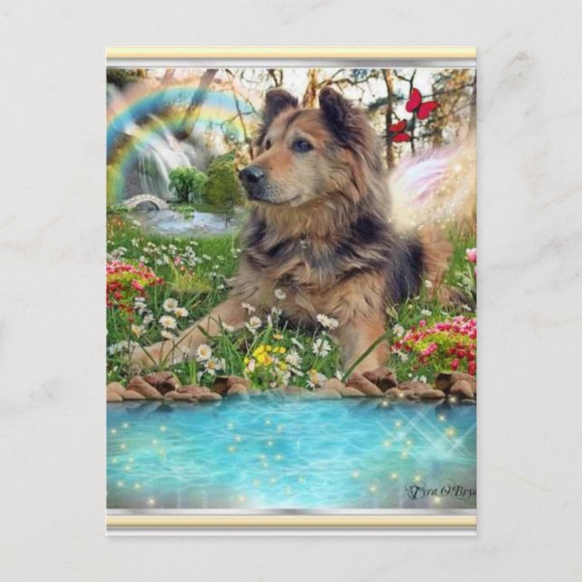 An der Rainbow Bridge gewartet Postkarte (Vorderseite)