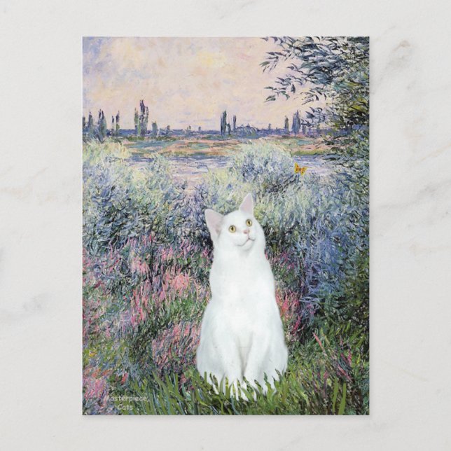 An der Seine - Weiße Katze Postkarte (Vorderseite)